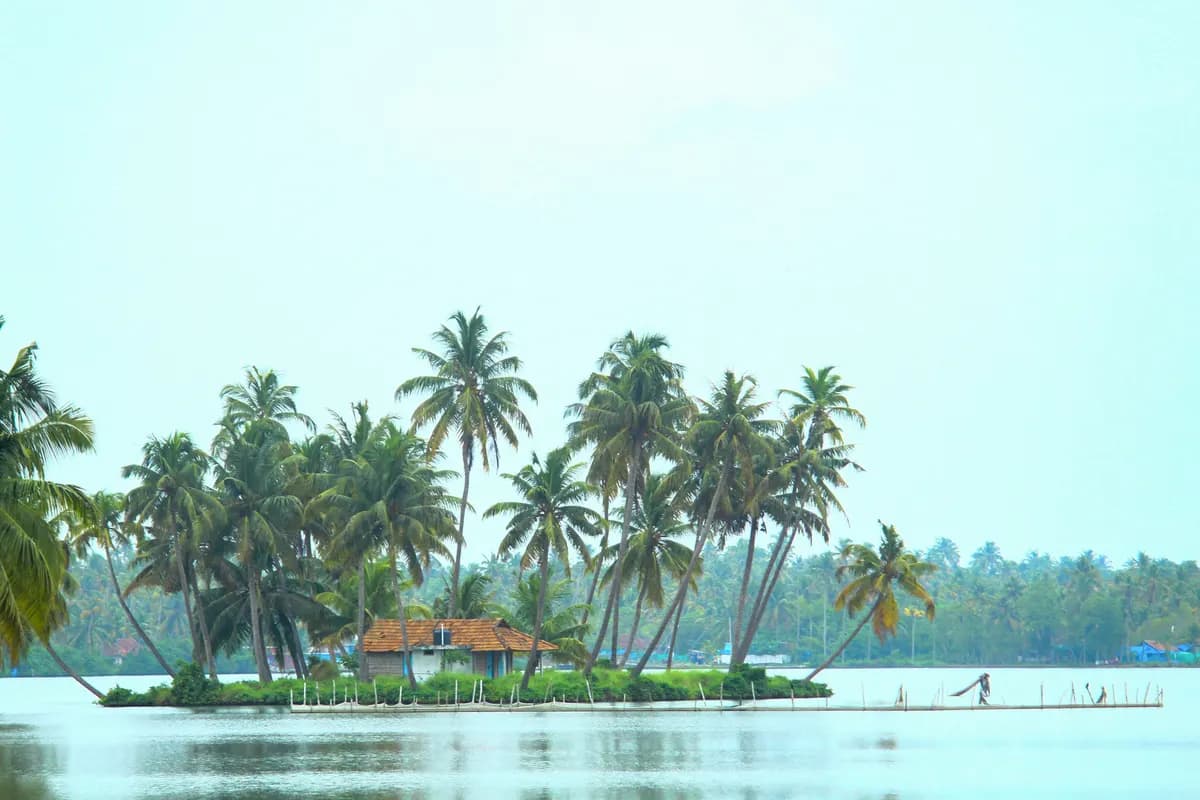 A palm-covered island in Kochi's backwater lagoons, Kerala