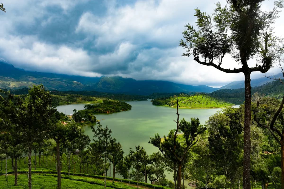 Tea plantations and lake in Munnar, Kerala